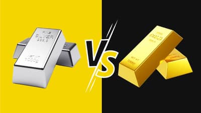 गरीबांचं सोनं करणार कमाल! पिवळ्याधमक सोन्यापेक्षा देणार अधिक परतावा, कोणी केला दावा?