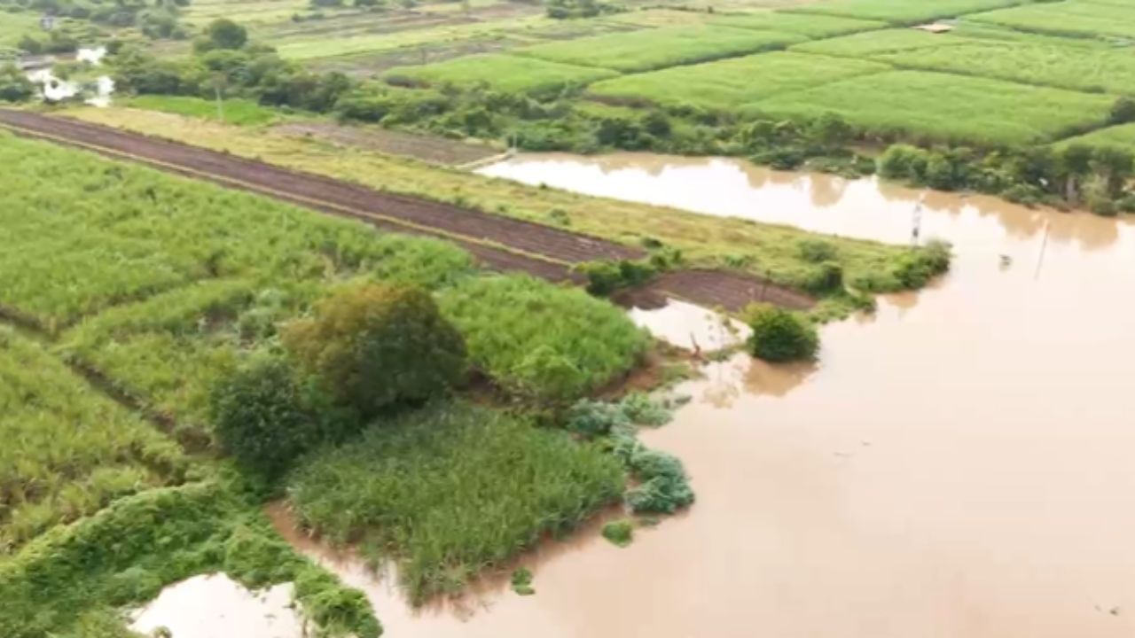 शेतीचे मोठे नुकसान झाल्याने शेतकऱ्यांनी मदतीची मागणी केली आहे. शुक्रवारापर्यंत सगळे पंचनामे करून शासनाकडे पोहोचविण्याचा आमचा प्रयत्न आहे अशी माहिती जिल्हाधिकारी कुमार आशीर्वाद यांनी दिली आहे. 