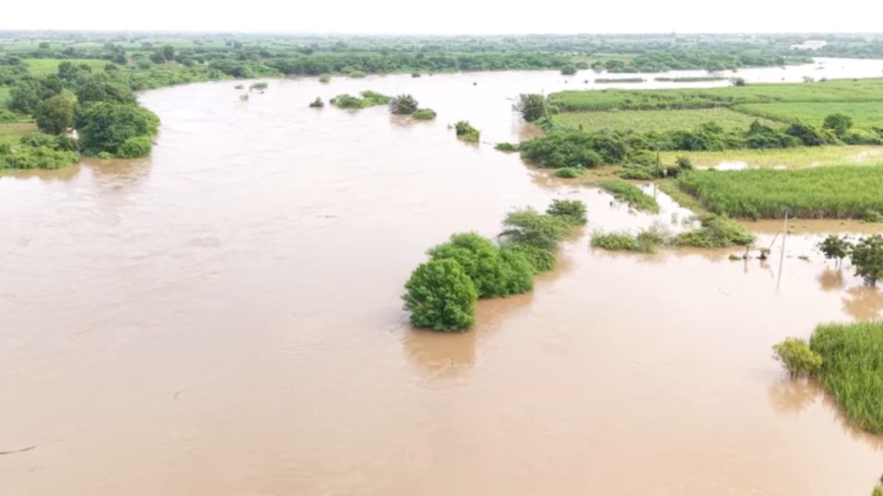 करमाळा तालुक्यात सीना नदीला आलेल्या महापूरामुळे मोठे नुकसान झाले आहे. जिल्हाधिकारी कुमार आशीर्वाद यांनी या भागाची पाहणी केली. या भागात काही नागरिकांच्या घरात पाणी शिरले आहे. त्यांना सुरक्षित ठिकाणी हलवण्यात आले आहे.  