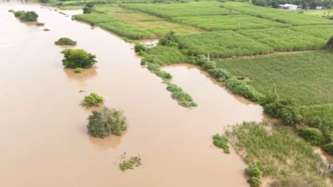 परांडा तालुक्यातील कोळेगाव धरण ओव्हरफ्लो झाल्याने माढा तालुक्यातील सीना नदी भागातील वाकाव, केवड, उंदरगावसह 8 ते 10 गावांना पुराच्या पाण्याने वेढा घातला असून गावात पाणी शिरल्याने गावांचा संपर्क तुटला आहे.  