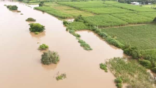 परांडा तालुक्यातील कोळेगाव धरण ओव्हरफ्लो झाल्याने माढा तालुक्यातील सीना नदी भागातील वाकाव, केवड, उंदरगावसह 8 ते 10 गावांना पुराच्या पाण्याने वेढा घातला असून गावात पाणी शिरल्याने गावांचा संपर्क तुटला आहे.