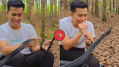 Viral Video: चक्क सापाला मोबाईलमधला डान्स व्हिडीओ दाखवला अन्..., चकीत करणारणी घटना