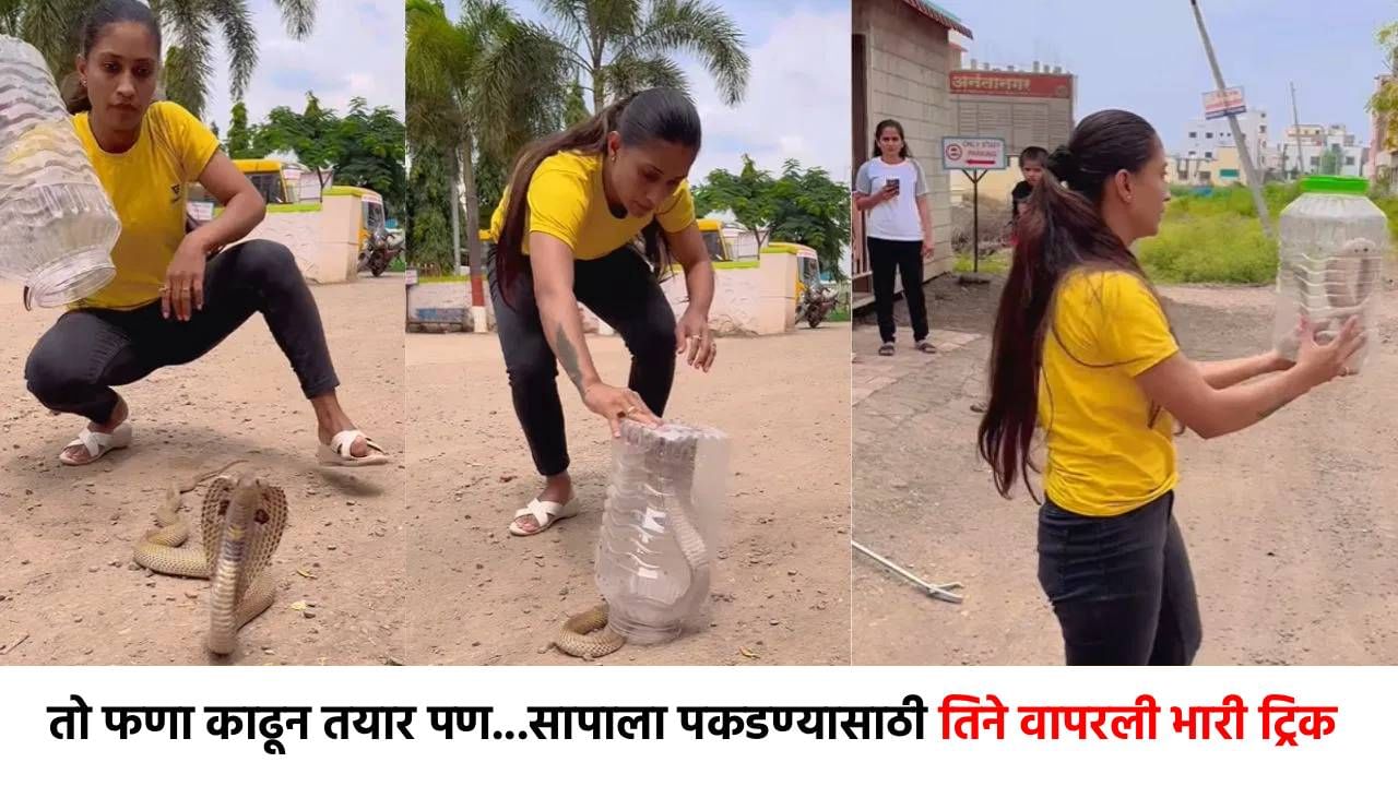Video : तो फणा काढून तयार पण...सापाला पकडण्यासाठी तिने वापरली भारी ट्रिक, हिम्मत पाहून भलेभले थक्क!