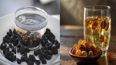 रोज रात्री पाण्यात मनुके भिजवून सकाळी खाल्ल्याने शरीराला मिळतात आश्चर्यकारक फायदे