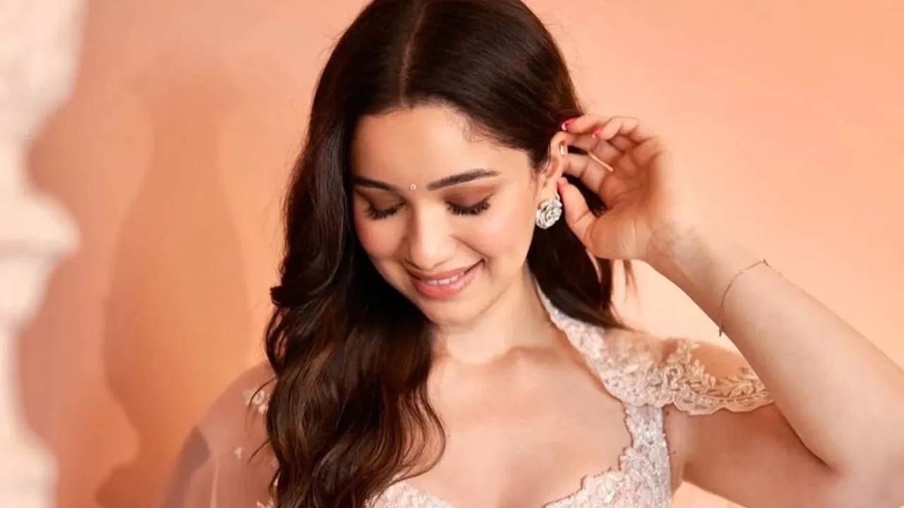 तेंडुलकर या आडनावाचा कोणताही विशिष्ट शाब्दिक अर्थ नाही, परंतु त्याचा मराठी आणि कोकणी समुदायांशी, विशेषतः सारस्वत ब्राह्मणांशी खोल संबंध आहे. सचिन तेंडुलकर आणि विजय तेंडुलकर सारख्या व्यक्तींमुळे या आडनावाला जागतिक मान्यता मिळाली आहे.