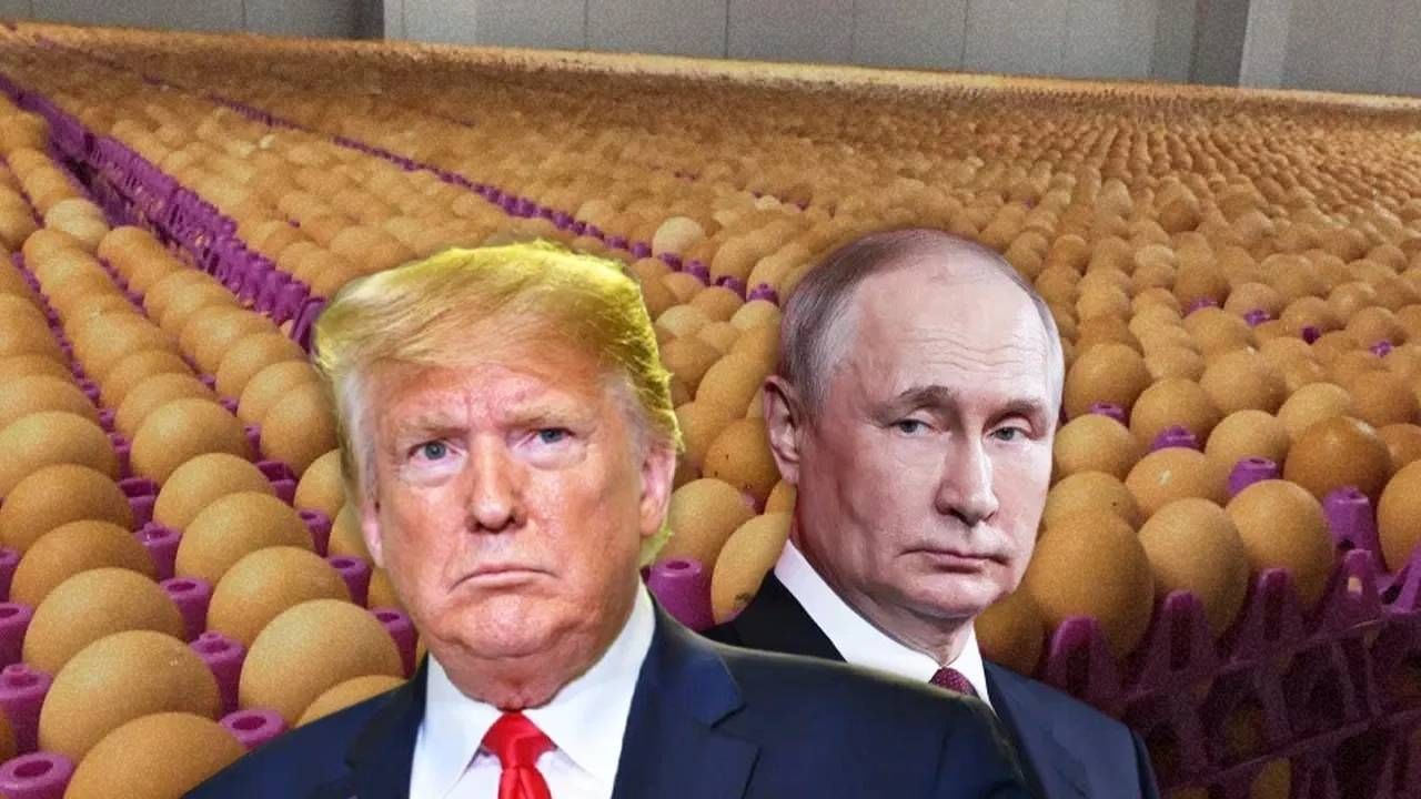 भारताची अडवणूक करणाऱ्या अमेरिकेचे हाल, रशियाकडून अंडी विकत घेण्याची वेळ; असं काय घडलं? भारताची अडवणूक करणाऱ्या अमेरिकेचे हाल, रशियाकडून अंडी विकत घेण्याची वेळ; असं काय घडलं?