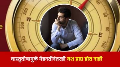 Vastu for Career growth: प्रचंड मेहनतीनंतरही यश मिळत नाही? असू शकतो वास्तुदोष, एकदा तपासून पाहा