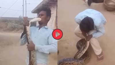 Viral Video: अजगर कसा पकडला सांगताना अचानक ओठावर केला हल्ला, कसाबसा वाचला जीव!