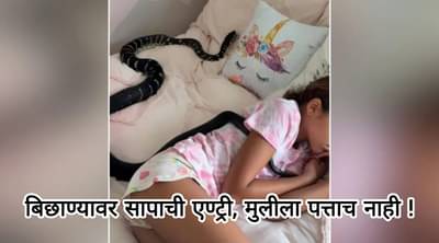 मुलीच्या बिछाण्यावर वळवळतोय खतरनाक साप, घरचे व्हिडीओ बनवण्यात मश्गूल : Viral Video