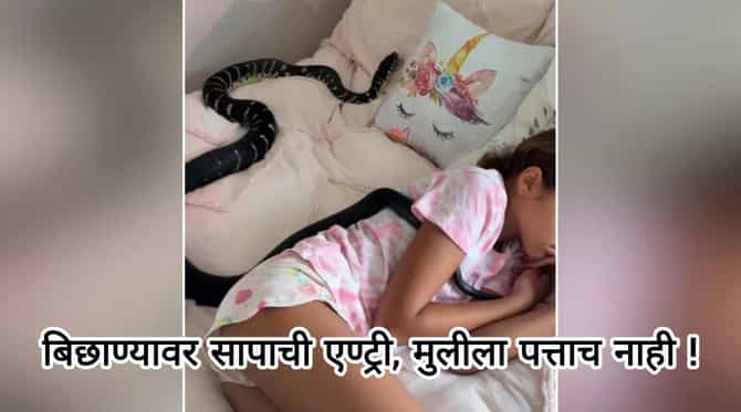 मुलीच्या बिछाण्यावर वळवळतोय खतरनाक साप, घरचे व्हिडीओ बनवण्यात मश्गूल : Viral Video