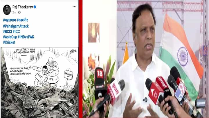 Ashish Shelar : राज ठाकरेंच्या 'त्या' व्यंगचित्रावर आशिष शेलारांचं उत्तर, कलेमध्ये जर राजकारण असेल तर.... Ashish Shelar : राज ठाकरेंच्या 'त्या' व्यंगचित्रावर आशिष शेलारांचं उत्तर, कलेमध्ये जर राजकारण असेल तर....