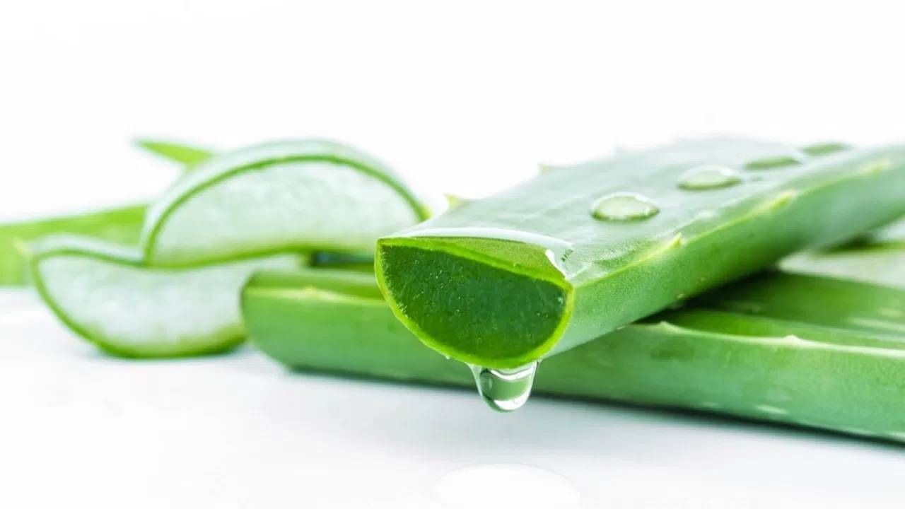 फक्त शरीरच नाही तर त्वचा आणि केसांसाठी देखील कोरफड ही फायदेशीर ठरते. जर चेहऱ्याला आपण कोरफड लावली तर त्वचेच्या अनेक समस्या या दूर होण्यास मदत होते.