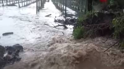 Solapur Rain : सोलापूरच्या बार्शीत ढगफूटी! ओढ्याला पूर अन् शेतात पाणीच पाणी, ड्रॅगन फळाचं पीकं जमीनदोस्त