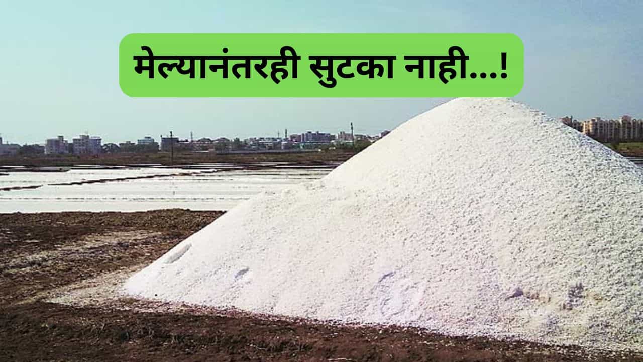 तुम्हाला चव येण्यासाठी यांचे जीवन होते बेचव, मेल्यानंतरही यांचे पाय जळत नाहीत...