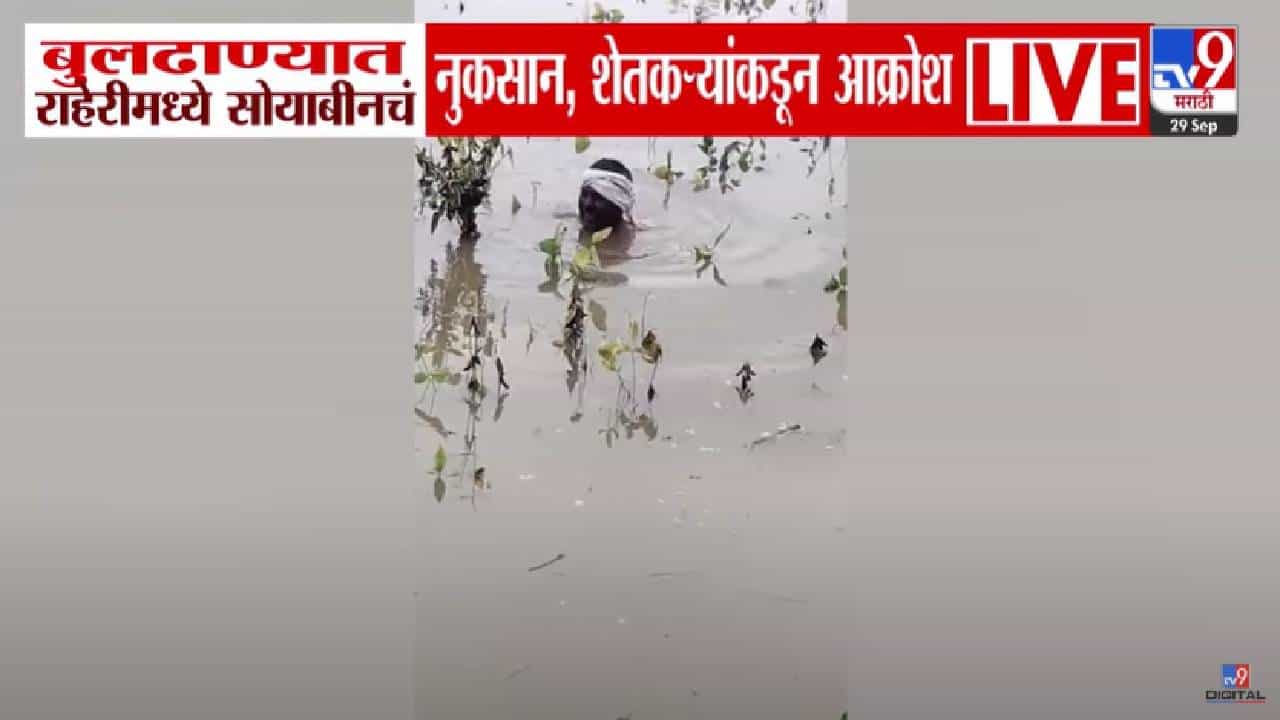 Buldhana Flood : सरकार मायबाप...कठीण झालं दादा.. बघा काळजात धस्स करणारा बुलढाण्यातील बळीराजाचा आक्रोश