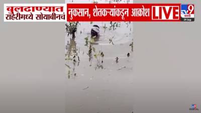 Buldhana Flood : सरकार मायबाप…कठीण झालं दादा.. बघा काळजात धस्स करणारा बुलढाण्यातील बळीराजाचा आक्रोश