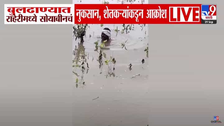 Buldhana Flood : सरकार मायबाप...कठीण झालं दादा.. बघा काळजात धस्स करणारा बुलढाण्यातील बळीराजाचा आक्रोश Buldhana Flood : सरकार मायबाप...कठीण झालं दादा.. बघा काळजात धस्स करणारा बुलढाण्यातील बळीराजाचा आक्रोश
