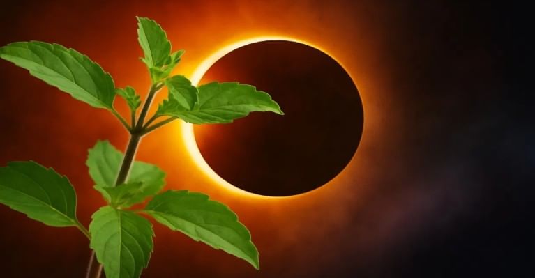 ग्रहण संपल्यानंतर गंगाजल शिंपडावे. ग्रहण संपल्यानंतर तीळ, तांदुळ, गूळ, कपडे दान करावे. यामुळे ग्रहणामुळे निर्माण झालेला दोष नाहीसा होतो. गर्भवती महिलांनी चंद्रग्रहणाच्या काळात विशेष काळजी घ्या. कात्री, सुई अशा धारधार वस्तूंपासून दूर राहावे. 