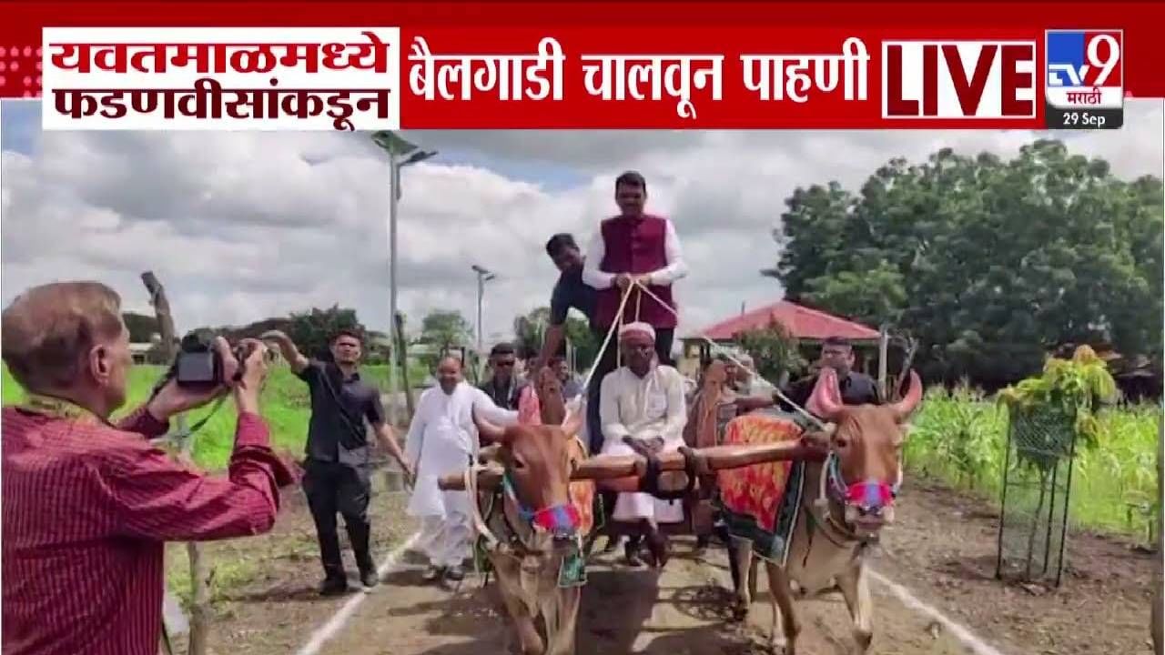 CM Fadnavis : यवतमाळमध्ये दिनदयाळ प्रबोधिनीला भेट, फडणवीसांकडून बैलगाडी चालवून परिसराची पाहणी CM Fadnavis : यवतमाळमध्ये दिनदयाळ प्रबोधिनीला भेट, फडणवीसांकडून बैलगाडी चालवून परिसराची पाहणी