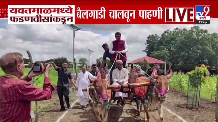 CM Fadnavis : यवतमाळमध्ये दिनदयाळ प्रबोधिनीला भेट, फडणवीसांकडून बैलगाडी चालवून परिसराची पाहणी CM Fadnavis : यवतमाळमध्ये दिनदयाळ प्रबोधिनीला भेट, फडणवीसांकडून बैलगाडी चालवून परिसराची पाहणी
