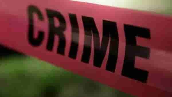 71 वर्षांची ती लग्न करण्यासाठी अमेरिकेहून भारतात आली, बेपत्ता झाली; अनेक महिन्यांनी उलगडलं गुपित.. तिच्यासोबत काय घडलं?