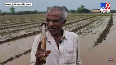 शिरूरमध्ये पावसाचं थैमान! कांदा पिकाचं मोठं नुकसान, शेतकरी चिंतेत