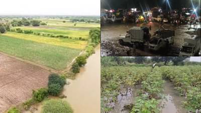 कुठे पिके पाण्याखाली, तर कुठे जनावरे दगावली, महाराष्ट्रातील किती जिल्ह्याला अतिवृष्टीचा फटका?