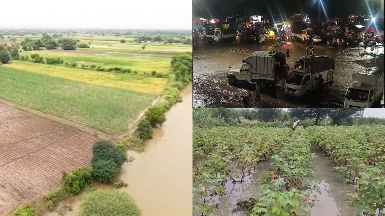 कुठे पिके पाण्याखाली, तर कुठे जनावरे दगावली, महाराष्ट्रातील किती जिल्ह्याला अतिवृष्टीचा फटका?