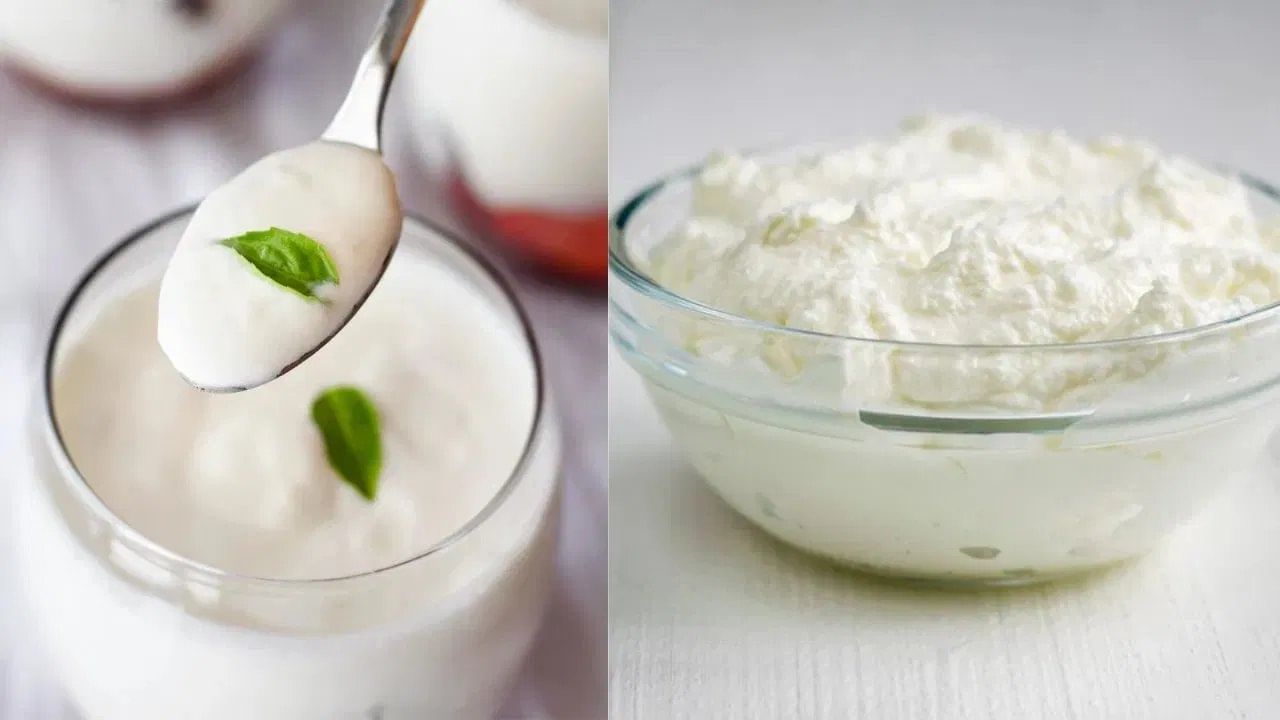 दह्यात प्रोबायोटिक्सचा उत्कृष्ट स्रोत आहे. यात असलेले चांगले बॅक्टेरिया आतड्यांचे आरोग्य सुधारण्यास मदत करतात. तुम्ही भाजलेल्या जिऱ्यासोबत दही खाल्ल्यास पचनसंस्थेसाठी ते अधिक फायदेशीर ठरते. यामुळे पोटाच्या समस्या जसे की बद्धकोष्ठता किंवा अपचन दूर होण्यास मदत होते.