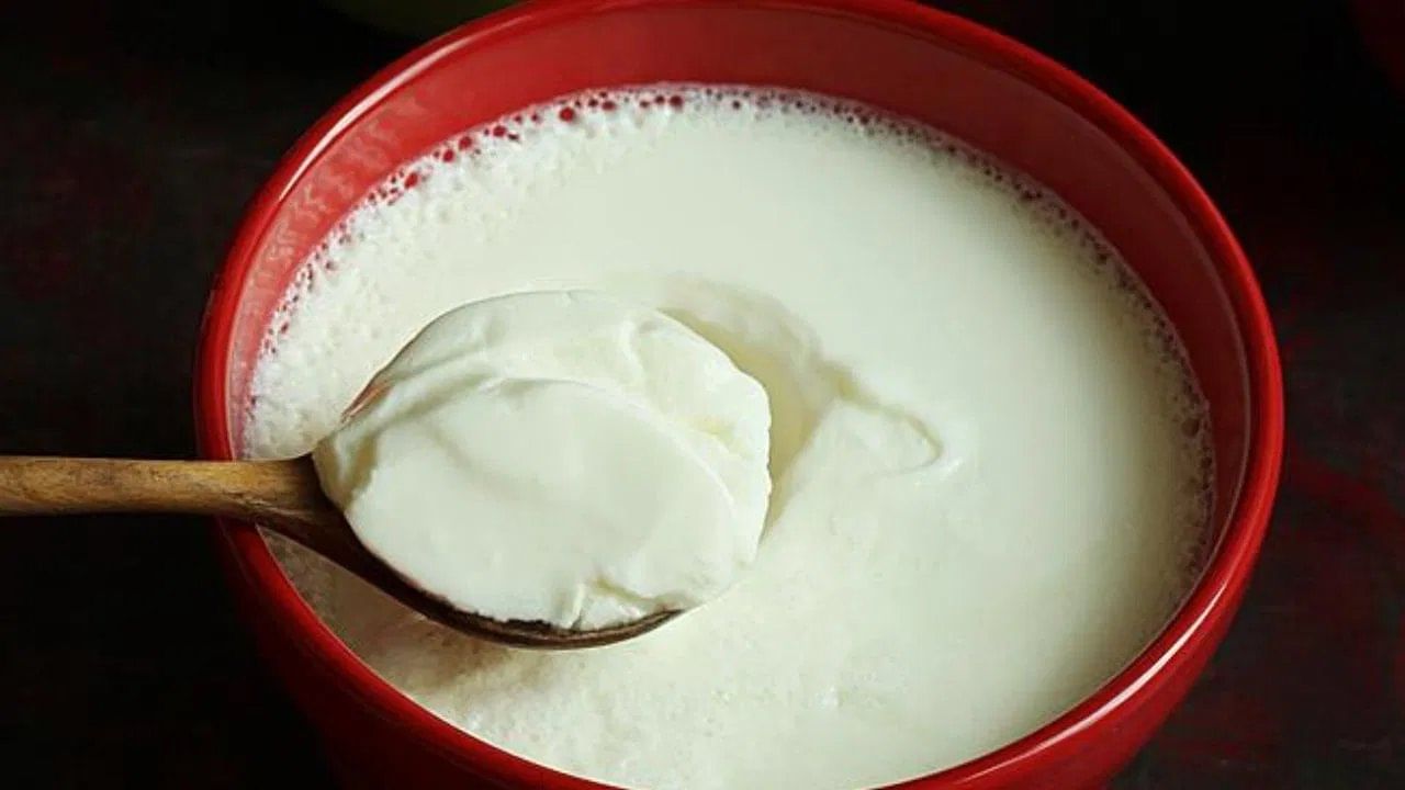 आयुर्वेदानुसार, दही हे थंड असते. त्यामुळे ते दुपारी खाणे सर्वात उत्तम आहे. या वेळी पचनशक्ती चांगली असते आणि शरीर दह्याचे पोषक घटक सहजपणे शोषून घेते.