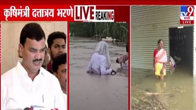 Maharashtra Flood : राज्यात अतिवृष्टी अन् पिकांचे मोठे नुकसान, अडचणीत सापलेल्या शेतकऱ्यांना दिलासा, कृषीमंत्र्यांची मोठी माहिती