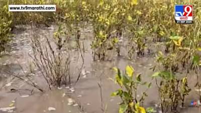 बेनीतुरा नदीला पूर! नदीकाठच्या शिवारात साचलं गुडघाभर पाणी; शेतीचं नुकसान