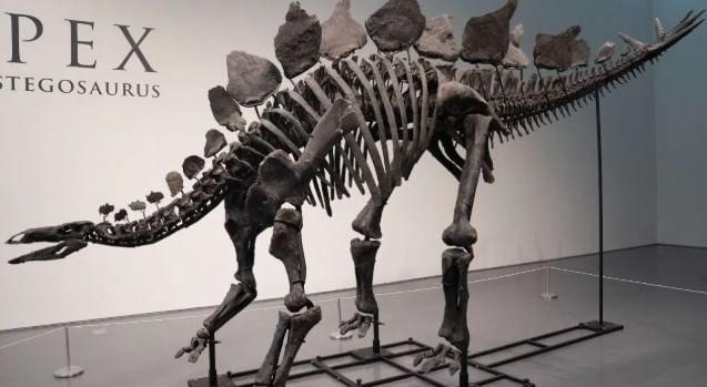 चीनमधील युनयांगमधील किंगलोंगशान या भागात मिळालेल्या डायनासोअरच्या अंड्यांचे नेमके वय समजून आले आहे. संशोधकांच्या शोधानुसार या अंड्यांचे वय साधारण 8.5 कोटी वर्षे आहे. म्हणजेच हे अंडे साधारण 8.5 कोटी वर्षापूर्वीचे आहेत. 