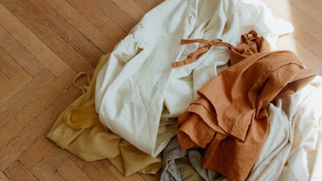 त्यासोबतच जुने, फाटलेले कपडे आणि चपला घरात दारिद्र्य आणि नकारात्मकता वाढवतात. ते घरातून काढून टाका. तसेच वाळलेली फुले किंवा घरात सुकलेल्या वनस्पती अशुभ मानले जाते. त्यामुळे ते त्वरित हटवा.