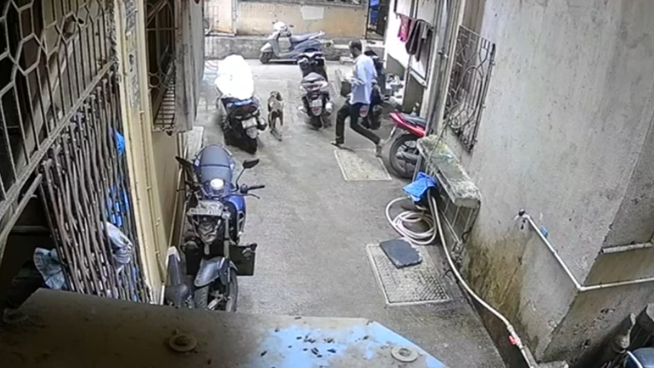 कल्याण-डोंबिवली महापालिका क्षेत्रात भटक्या कुत्र्यांचा उपद्रव मोठ्या प्रमाणावर वाढला आहे. यामुळे नागरिकांमध्ये भीतीचे वातावरण निर्माण झाले आहे. त्यातच गेल्या एकाच दिवसात तब्बल 67 लोकांना कुत्र्याने चावा घेतल्याची धक्कादायक घटना समोर आली आहे. या घटनेमुळे महापालिकेच्या उपाययोजनांवर प्रश्नचिन्ह निर्माण झाले आहे.