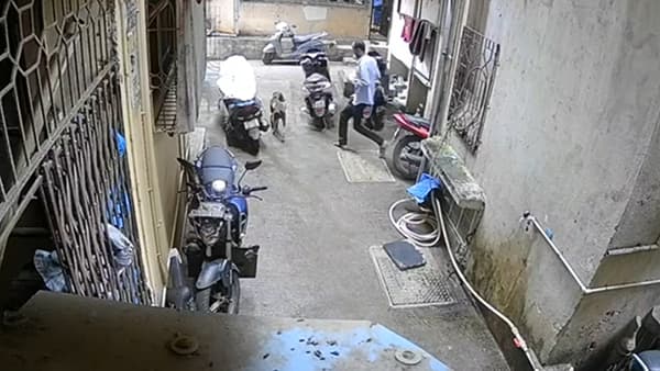 कल्याण-डोंबिवली महापालिका क्षेत्रात भटक्या कुत्र्यांचा उपद्रव मोठ्या प्रमाणावर वाढला आहे. यामुळे नागरिकांमध्ये भीतीचे वातावरण निर्माण झाले आहे. त्यातच गेल्या एकाच दिवसात तब्बल 67 लोकांना कुत्र्याने चावा घेतल्याची धक्कादायक घटना समोर आली आहे. या घटनेमुळे महापालिकेच्या उपाययोजनांवर प्रश्नचिन्ह निर्माण झाले आहे.