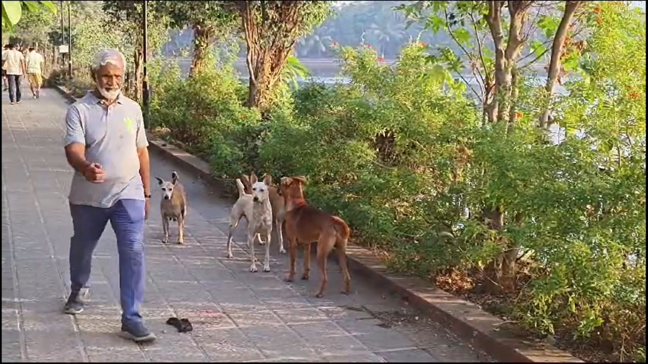 कल्याणमधील गोविंदवाडी परिसरात एका भटक्या कुत्र्याने चार जणांना चावा घेतल्याची घटना समोर आली होती. ही घटना सीसीटीव्ही कॅमेऱ्यात कैद झाली आहे. यामुळे परिसरातील नागरिकांमध्ये कमालीची दहशत पसरली आहे.