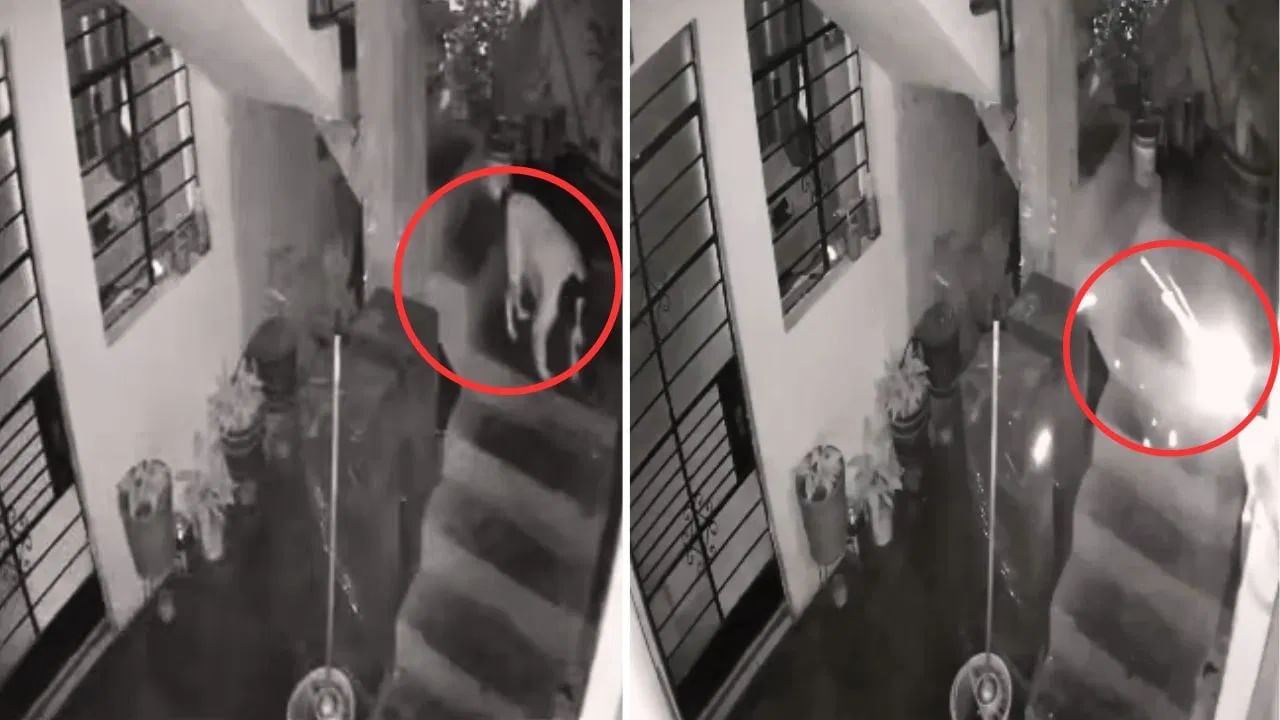 डायनामाईटची कांडी, ती रात्र अन् 'मंचिस'ची थरारक शौर्यगाथा, CCTV Video नक्की पाहा