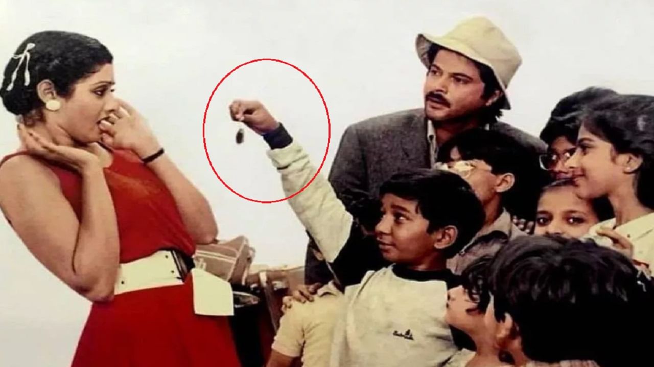 'मिस्टर इंडिया' मध्ये श्रीदेवीसोबत सीन शूट करण्यासाठी 'झुरळाला' चक्क दारू पाजली होती? काय आहे किस्सा?