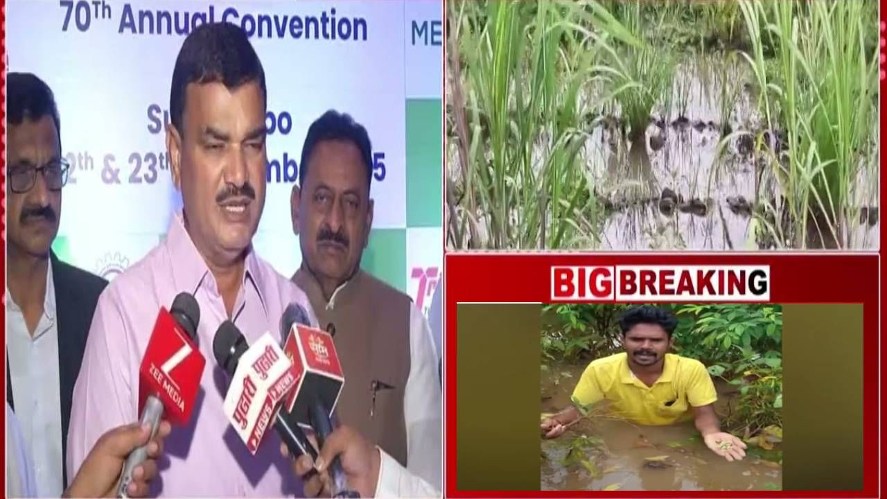 Maharashtra Farmers : अतिवृष्टीनं नुकसान झालेल्या शेतकऱ्यांसाठी कृषीमंत्र्यांची मोठी घोषणा, दिवाळीआधीच... Maharashtra Farmers : अतिवृष्टीनं नुकसान झालेल्या शेतकऱ्यांसाठी कृषीमंत्र्यांची मोठी घोषणा, दिवाळीआधीच...