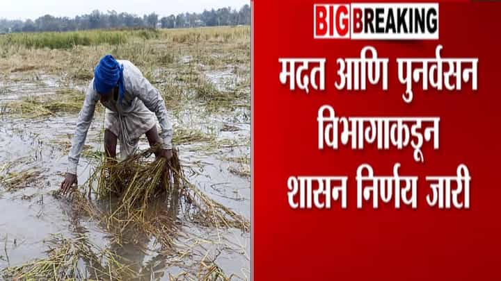 Crop Damage Relief : बळीराजाला दिलासा, पीक नुकसानासाठी 2 हजार 215 कोटींची मदत जाहीर, शासनाचा निर्णय काय? Crop Damage Relief : बळीराजाला दिलासा, पीक नुकसानासाठी 2 हजार 215 कोटींची मदत जाहीर, शासनाचा निर्णय काय?