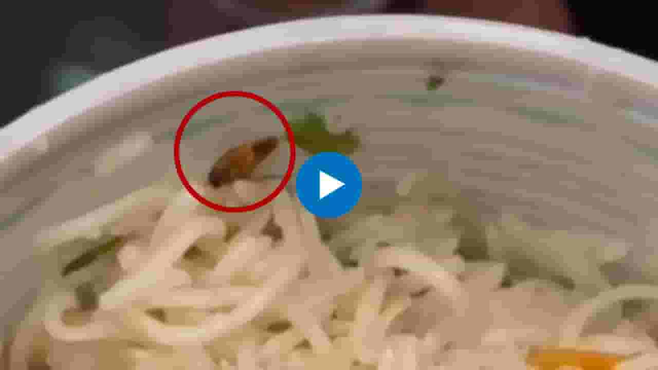 धक्कादायक! नामांकित हॉटेलच्या फ्राइड राईसमध्ये निघालं झुरळ..