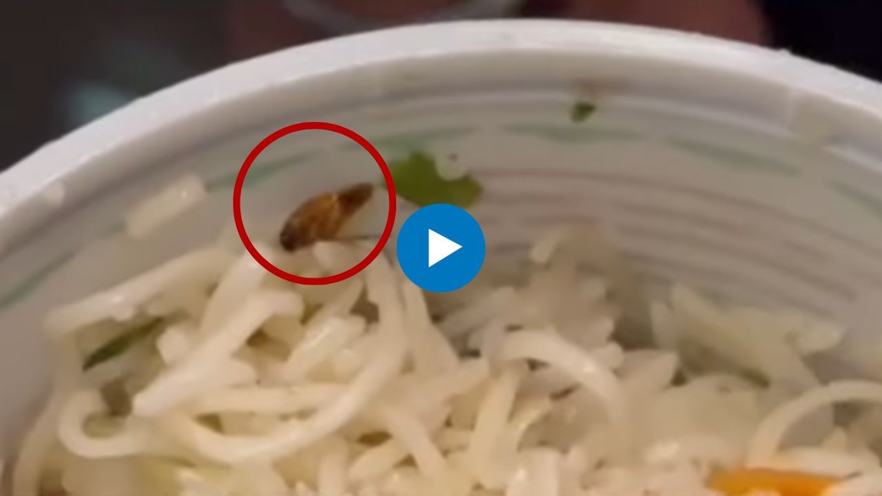 धक्कादायक! नामांकित हॉटेलच्या फ्राइड राईसमध्ये निघालं झुरळ..