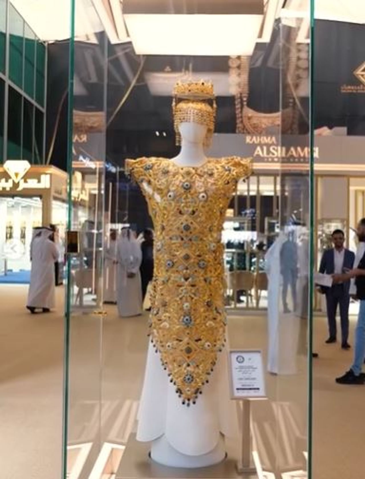 आतापर्यंत तुम्ही अनेक प्रकारचे कपडे पाहिले असतील. काही ड्रेस पाहून तर तुम्ही अचंबितही झाले असाल. सध्या मात्र अशाच एका आगळ्यावेगळ्या सोन्याच्या ड्रेसची चर्चा होत आहे. या ड्रेसने एक नवा रेकॉर्ड स्थापित केला आहे. 