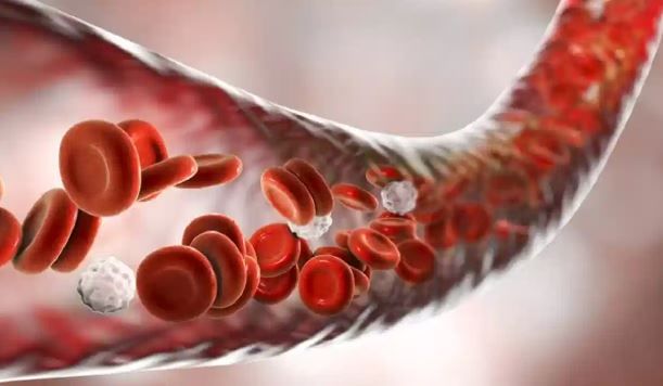 आजकाल हृदयासंबंधीचे आजार फार वाढले आहेत. हृदयरोग, हृदयविकाराचा झटका, स्ट्रोक, हार्ट ब्लॉकेज अशा अनेक आजारांमुळे व्यक्ती दगावल्याचे तुम्ही ऐकले असेल. यामुळेच तुम्हाला काही लक्षणं दिसताच सतर्क राहणे गरजेचे आहे. ही लक्षणं दिसल्यास डॉक्टरांचा सल्ला घेणे गरजेचे आहे, असे मानले जाते.