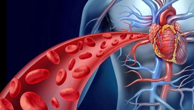 (टीप- या लेखातील सर्व माहिती ही प्राथमिक स्वरुपाची आहे. सविस्तर माहितीसाठी किंवा कोणताही प्रयोग करण्याआधी त्या-त्या क्षेत्रातील तज्ज्ञांशी संपर्क साधावा) 