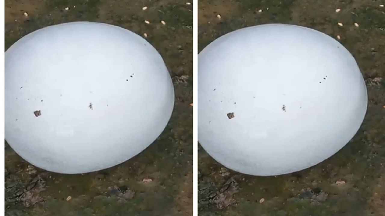 वर्ध्याच्या हमदापुर येथे अंदाजे तीन किलो वजनाची गार कोसळल्याची चर्चा आहे. घराच्या अंगणात बर्फाचा गोळा कोसळल्याची चर्चा संपूर्ण गावात सुरु आहे. गावऱ्यांना देखील आश्चर्य वाटलं आहे. 