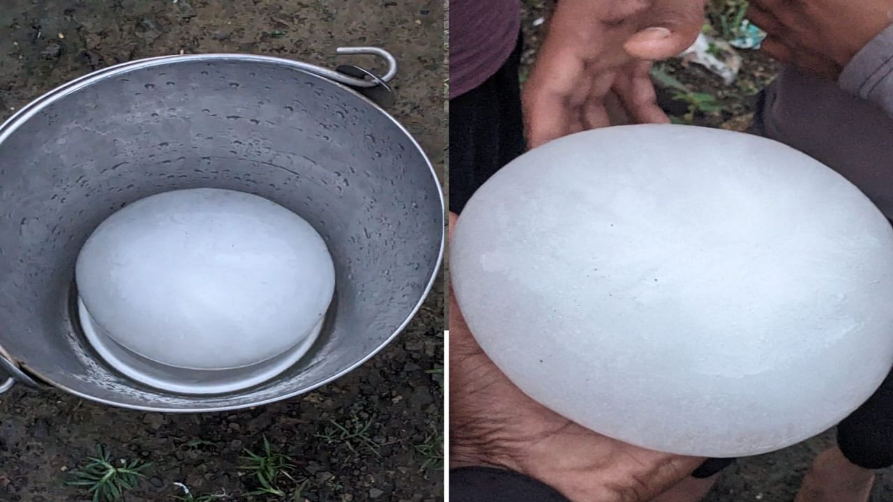 तीन किलो वजनाच्या बर्फाच्या गोळ्याचे फोटो, व्हिडीओ व्हायरल सध्या सर्वत्र व्हायरल होत आहेत. व्हायरल फोटो, व्हिडिओत तीन किलो गार पडल्याची चर्चा सुरु आहे.  