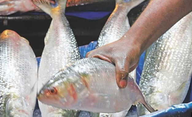 सध्या भारत आणि बांगलादेश यांच्यात सीमेवर सध्या तणाव आहे. बांगलादेशातून भारतात होणारी अवैध घुसखोरी याविरोधात भारताने कडक धोरण अवलंबलेले आहे. त्यामुळे अनेक अवैध नागरिकांना भारत-बांगलादेशच्या सीमेवरून परत बांगलादेशमध्ये ढकलले जात आहे. भारताच्या या धोरणावर बांगलादेशने नाराजी व्यक्त केलेली आहे. 