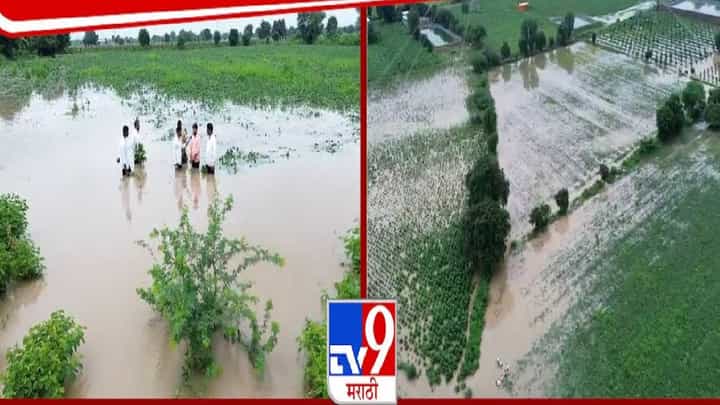 Jalna Rain : जालन्यात पावसाचा हाहाकार, पुराच्या पाण्यानं पूर्णतः शेतीला वेढलं, बघा ड्रोन व्ह्यू Jalna Rain : जालन्यात पावसाचा हाहाकार, पुराच्या पाण्यानं पूर्णतः शेतीला वेढलं, बघा ड्रोन व्ह्यू